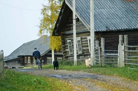 В какую деревню поедешь. Прогулка по деревне. своя деревня. еду по деревне. нашу деревню.