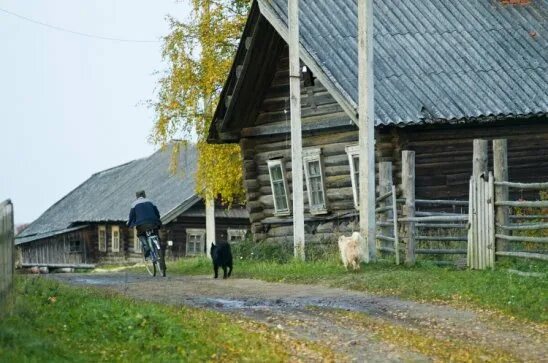 Деревня стала. Прогулка по деревне. Своя деревня. Еду по деревне. Нашу деревню.