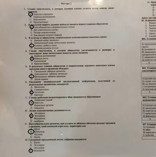 psv4.userapi.com: Yandex Görsel'de 1 bin görsel bulundu