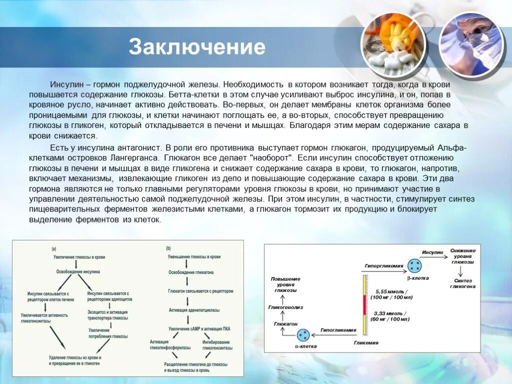 Глюкагон фермент. Выведение инсулина. Инсулин вывод. Вырабатывает гормон инсулин. Инсулин гормон поджелудочной.