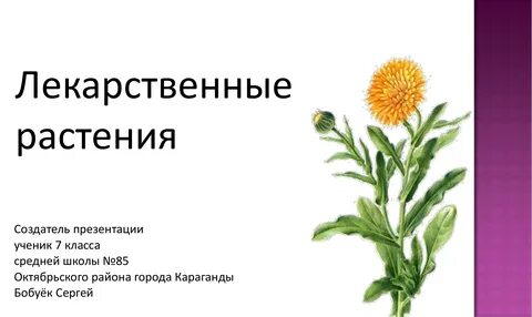 Презентация травы 3 класс