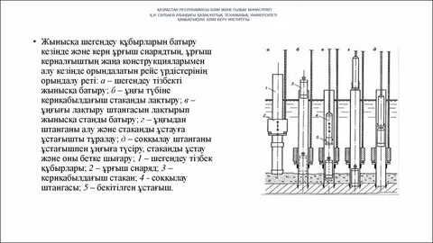 Майлы әйелдердегі куннилингусты қараңыз