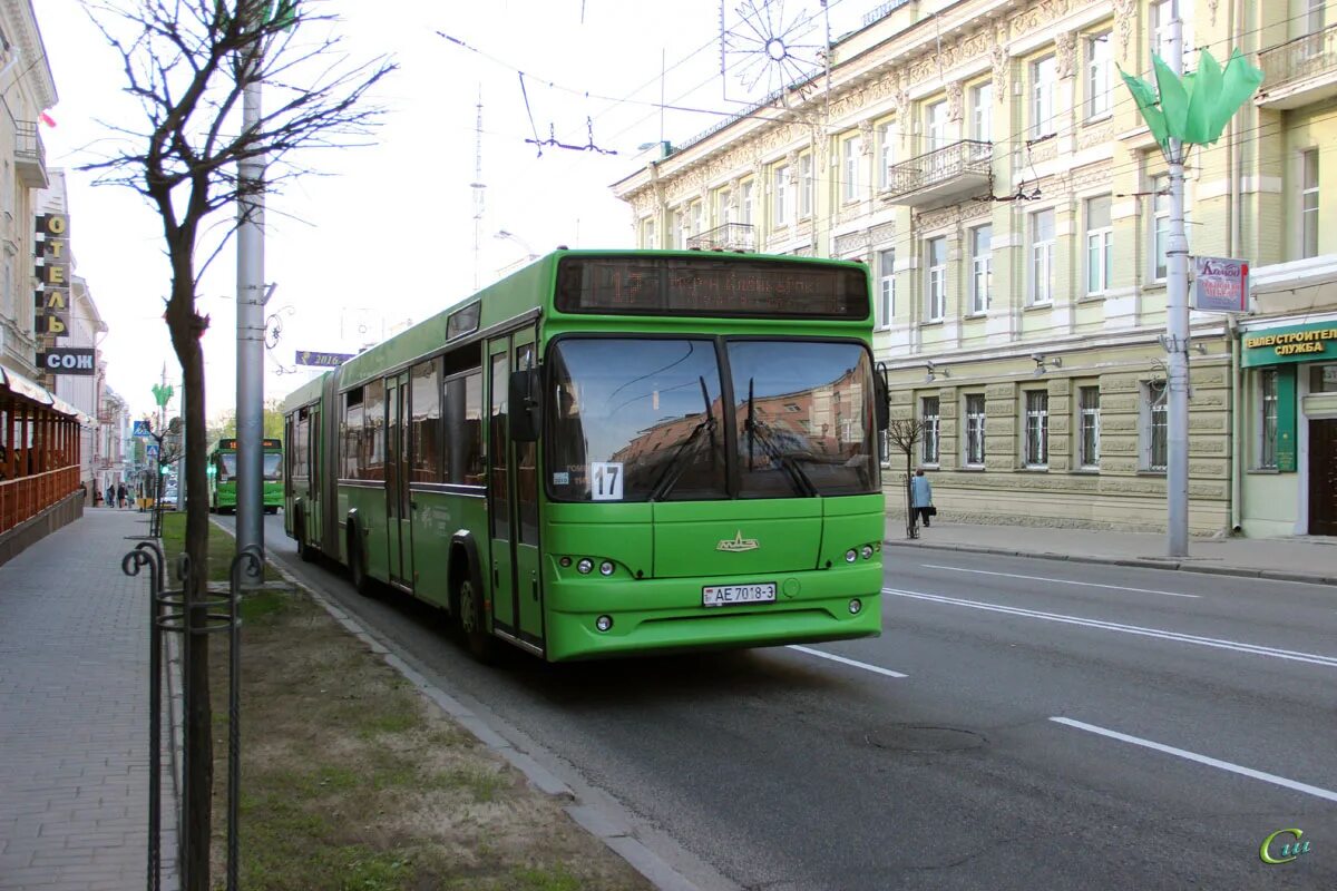 МАЗ 105 465 Гомель. Автобус МАЗ 105 465 Гомель. Гомель общественный транспорт. Автобус гомельчанин модель. Автобус 3 гомель