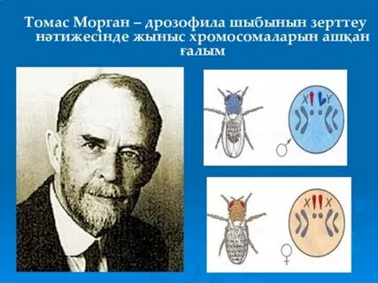 HD порно, бля, егде әйел, кемпір, әже