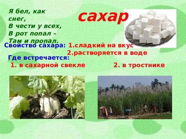 Кроссворд разнообразие веществ 3 класс. Разнообразие веществ. презентация на тему разнообразие веществ. презентация на тему сахар. разнообразие веществ 3 класс окружающий мир.