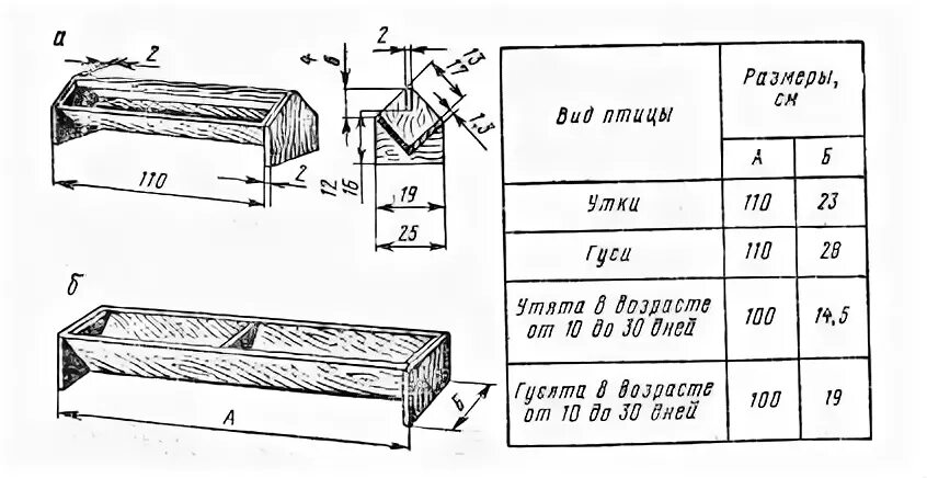 Размер гнезда для индоутки несушки. Чертеж бункерной кормушки для кур. Размер гнезда для утки. Чертеж размер гнезда для индоуток.