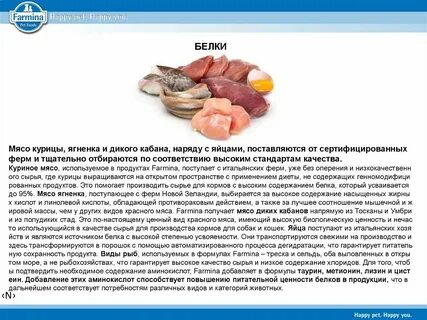Что содержится в курином белке