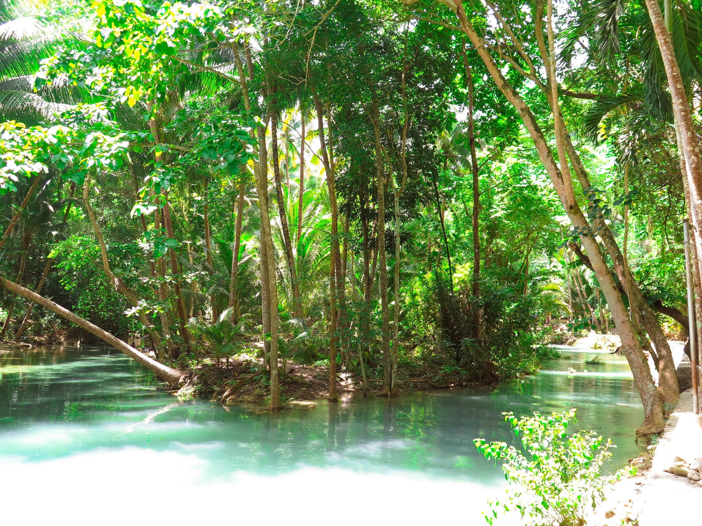 Jungle river