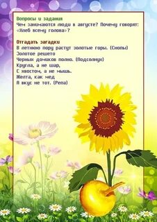 Август младшая группа
