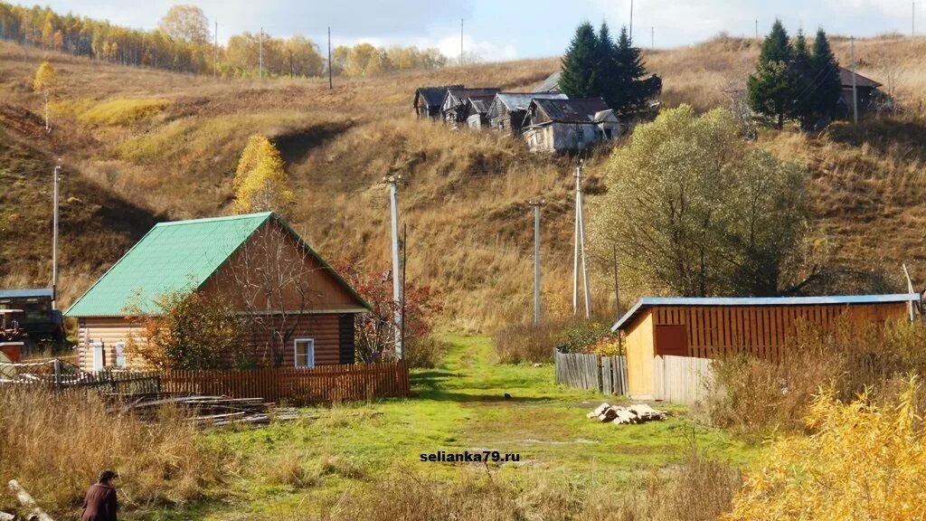 Из города в деревню милюковы