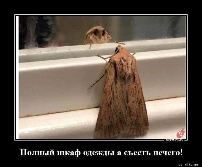 Ничего ю