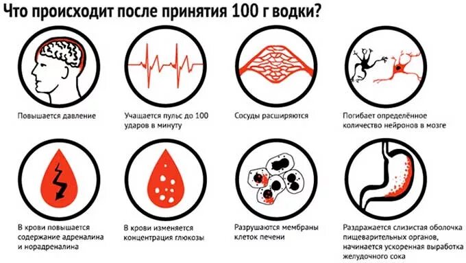 Напиток поднимающий давление. Как алкоголь влияет на давление. алкоголь повышает давление или снижает. алкоголь при высоком давлении.