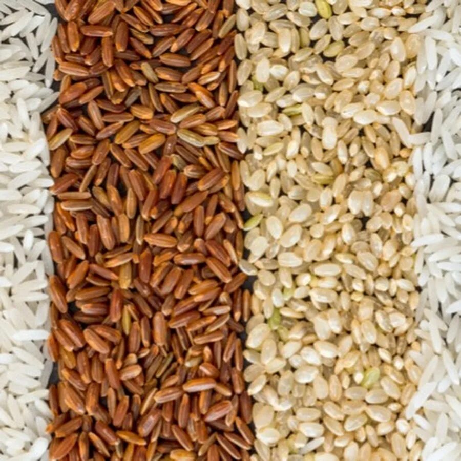 Различие риса. Натуральный рис. Разные сорта риса. Рис разнообразный. Рис (зерно).