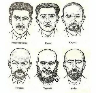 Черты татаров