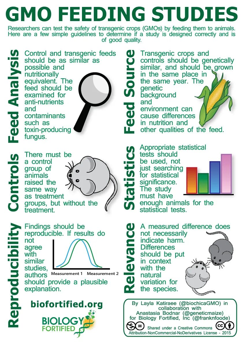 На стади Feed. Significance-of-the-study. Pros of animal research. Look! They are feeding animals!.