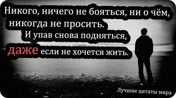 Ничего и никого не бойся. Никогда не бойся. Никогда ничего не бойся цитаты. Никогда ничего не бойтесь.