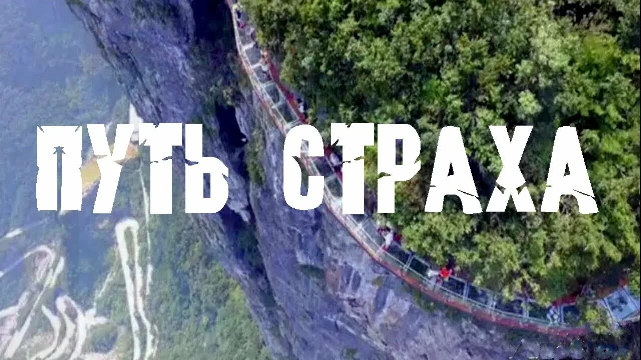 Наставь меня господи на путь твой и буду ходить в истине твоей. Мотивационные фразы. Книга страх как ресурс. Цитаты высказывания про страхи. Страх любви.