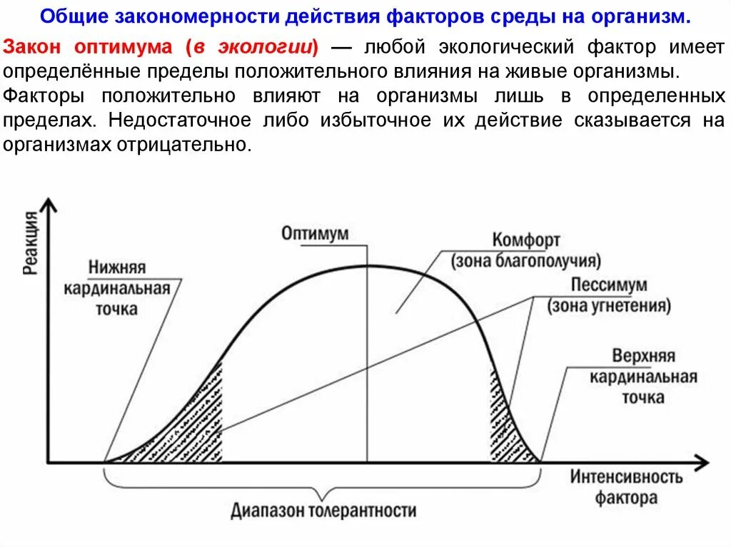 Рост толерантности пав. Факторы среды зона оптимума. Правило оптимума и закон толерантности Шелфорда. Закон оптимума экология. Схема воздействия экологических факторов на организм.