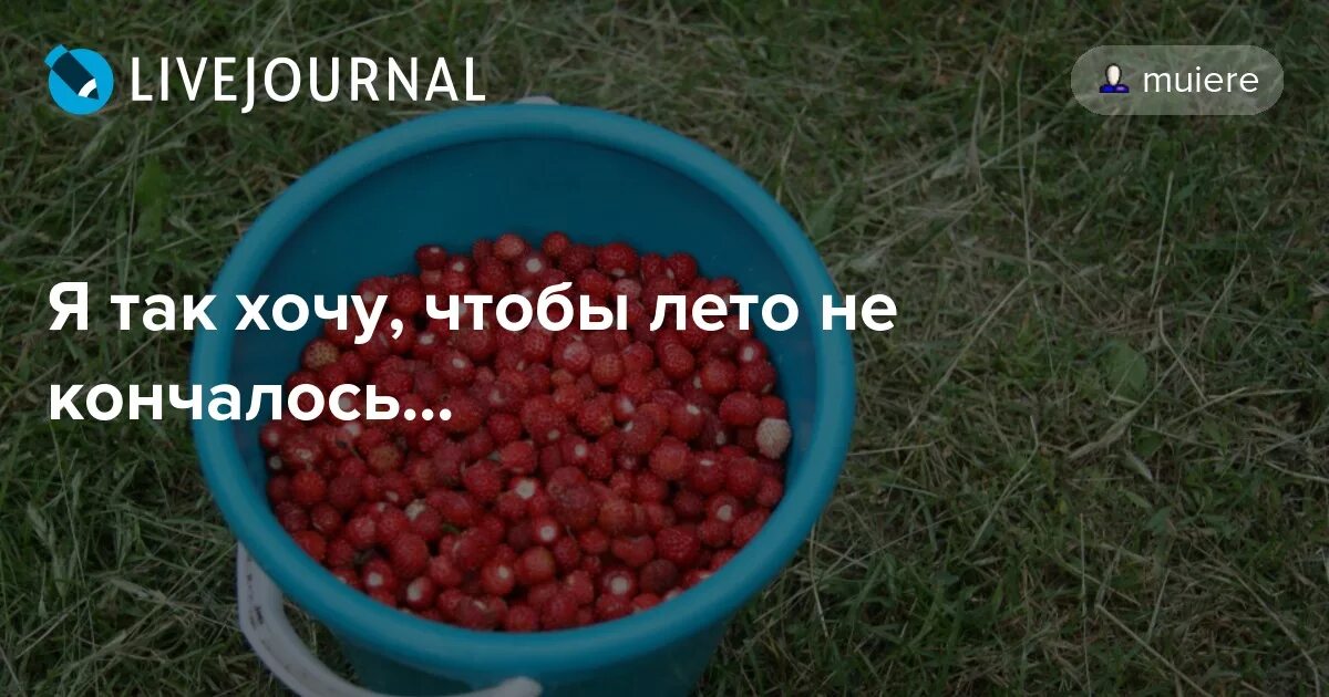 Я так хочу чтобы лето не кончалось. Я хочу так хочу чтобы лето не кончалось. Пугачева хочу чтобы лето не кончалось. Звёздное лето алла пугачёва. Так хочу чтобы лето не кончалось.