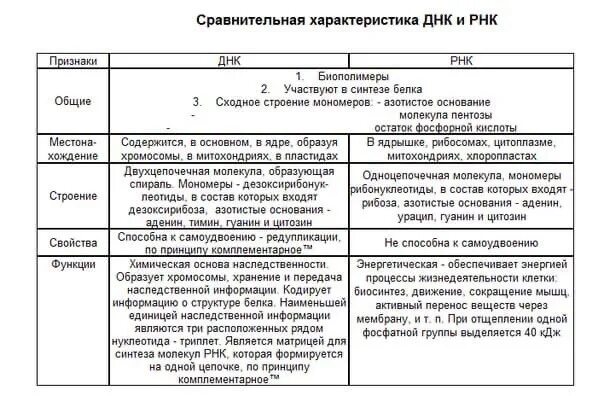 Дайте сравнительную характеристику днк и рнк. Различия в строении днк и рнк таблица. сравнительная характеристика днк и рнк таблица строение. сравнительная характеристика днк и рнк таблица. сравнительные признаки днк и рнк таблица.