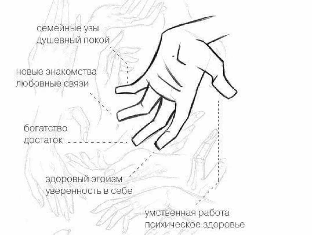 За что отвечает мизинец. Срредниц палец на право руке. Мизинец безымянный средний. Биологически активные точки на левой руке. Соответствие пальцев рук органам.