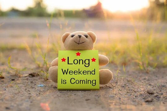 Coming this weekend. Weekend is coming. Weekend coming картинка. Sorry with Teddy. Lonely Teddy.