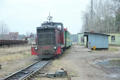 Пискаревка рахья