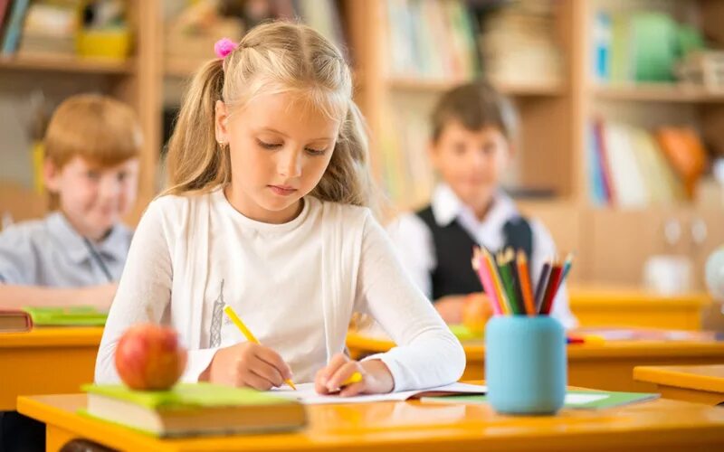 Ученица. Дети за партой. Девочка с косичками за партой. На уроке девочки сидят. Девушки студентки.