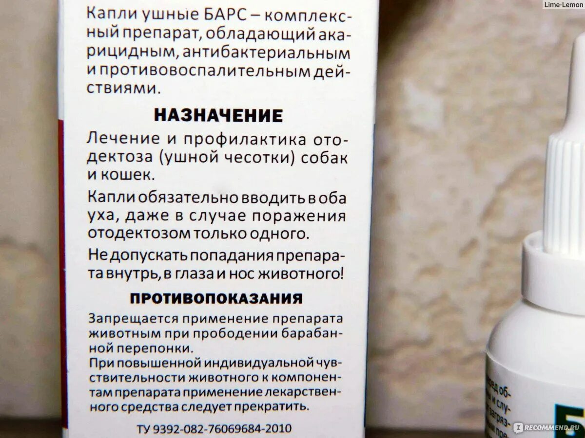 Зуд в ухе какие капли. Ушные капли от зуда. препарат от зуда в ушах. капли от зуда в ушах у человека. капли от зуда в ушах от зуда.