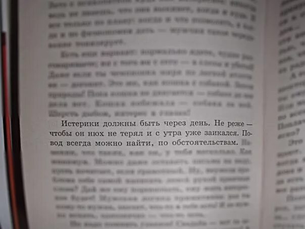 Книга текст о чем она. Фразы из книг. Интересные фразы из книг. Цитаты из книг. Цитаты про книги.