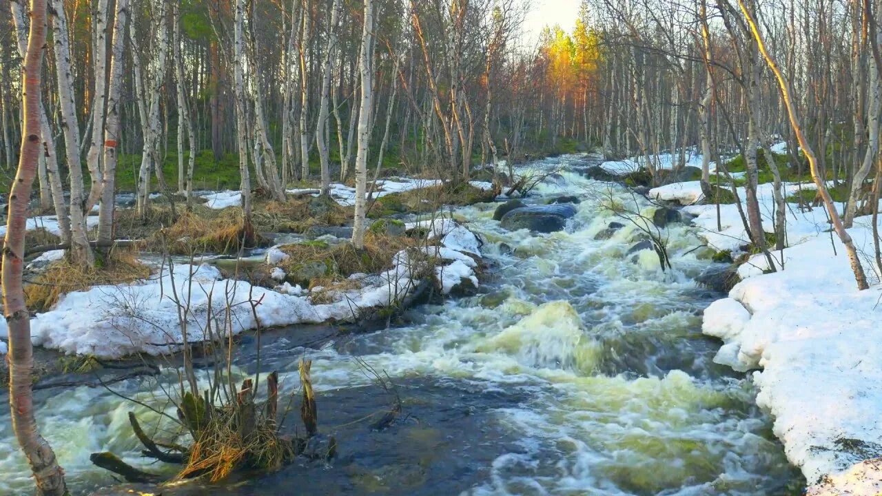 Весной весело журчат ручьи. Б.Щербаков «Журчат ручьи весенние». Ручеек Кольский полуостров. Бегут ручьи Журчат.