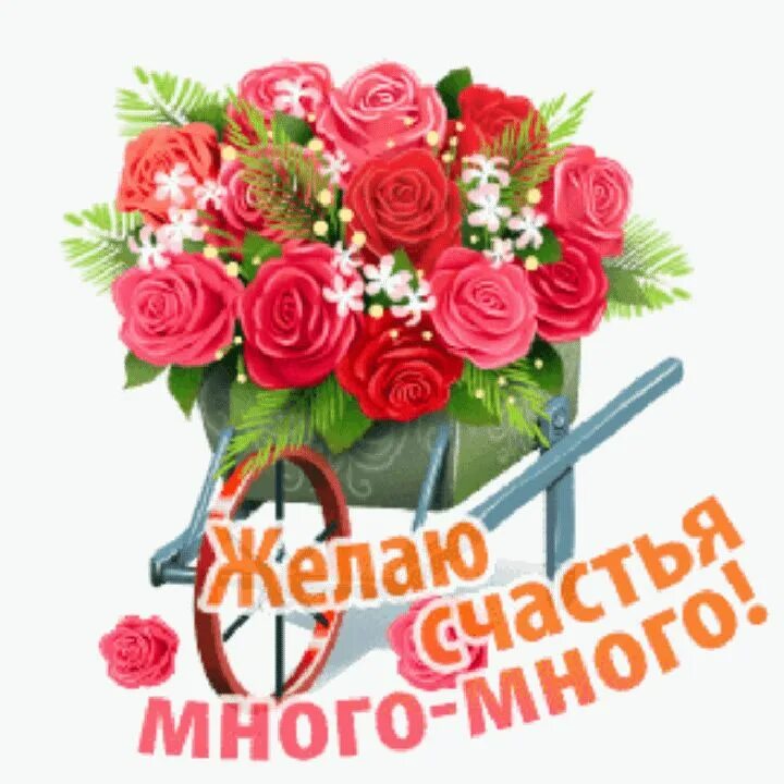 Подарок однокласснику цветы