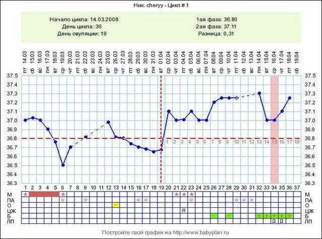Имплантационное западение БТ. График БТ беременный двойней. График БТ многоплодной беременности. Графики БТ многоплодная беременность. Базальная температура падает