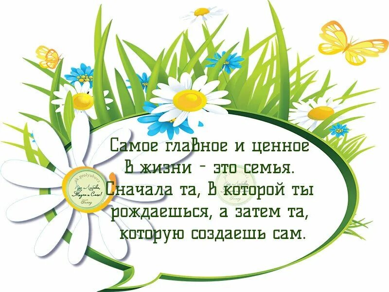 Цитаты про семью. Красивые высказывания о семье. День семьи любви и верности фраза. День семьи фразы. Цитаты про семью.