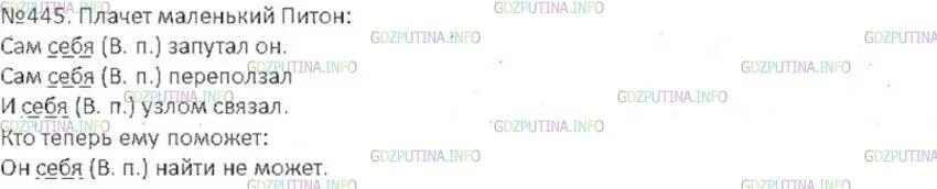 Русский язык 5 класс упр 445. Русский язык 6 класс упр 445. Русский язык 6 класс плачет маленький питон. Плачет маленький питон сам себя запутал он сам себя. Русский язык 8 класс упр 445