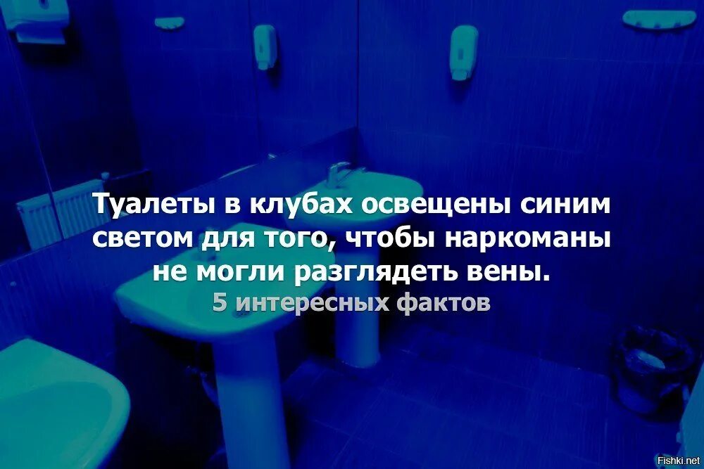 Пьяные в туалетах ночных клубов. Туалет в ночном клубе. Мужской туалет в клубе. Прикольный туалет в клубе. Унитаз в клубе.