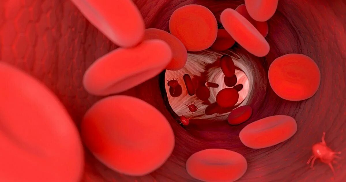 Гемофилия группа крови. Группы клеток крови. Группы крови у животных.