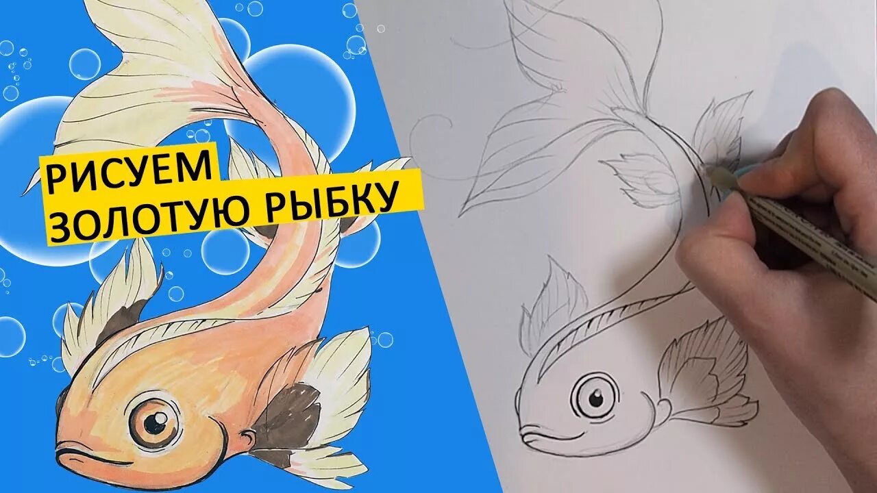 Как нарисовать золотую рыбку фото Рисунок золотой рыбки