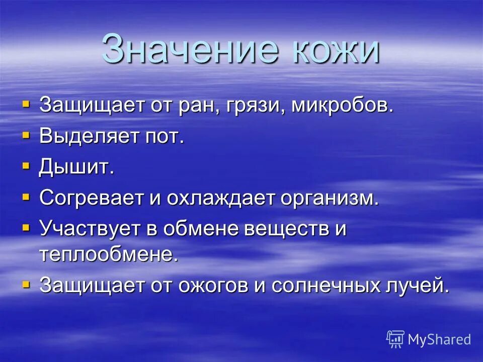 Окружающий мир какое значение имеет кожа. Значение кожи презентация. значение кожи для организма. доклад значение кожи. значение кожи для организма 4 класс.