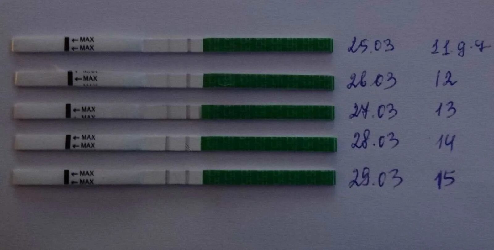 Тест на овуляцию. Тест на овуляцию положительный. Тесты определяющие овуляцию. Овуляция на тестах. Тест на овуляцию показал слабую полоску