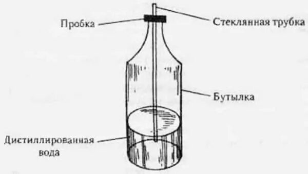 Самодельный барометр. Самодельный водяной барометр. Самодельный жидкостный барометр. Барометр из лампочки для рыбалки. Самодельный барометр клева.