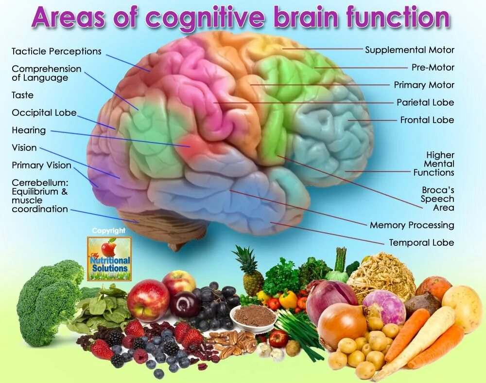 Brain and some. Cognitive functions. Brain functions. What is Cognition. How to improve Brain function.