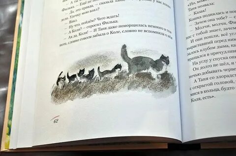 Дикой краткое содержание