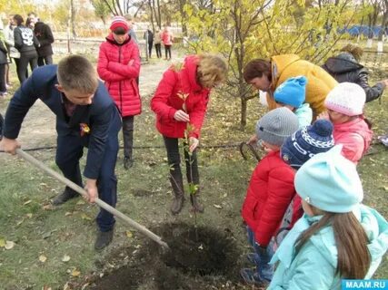 В школьном саду 40