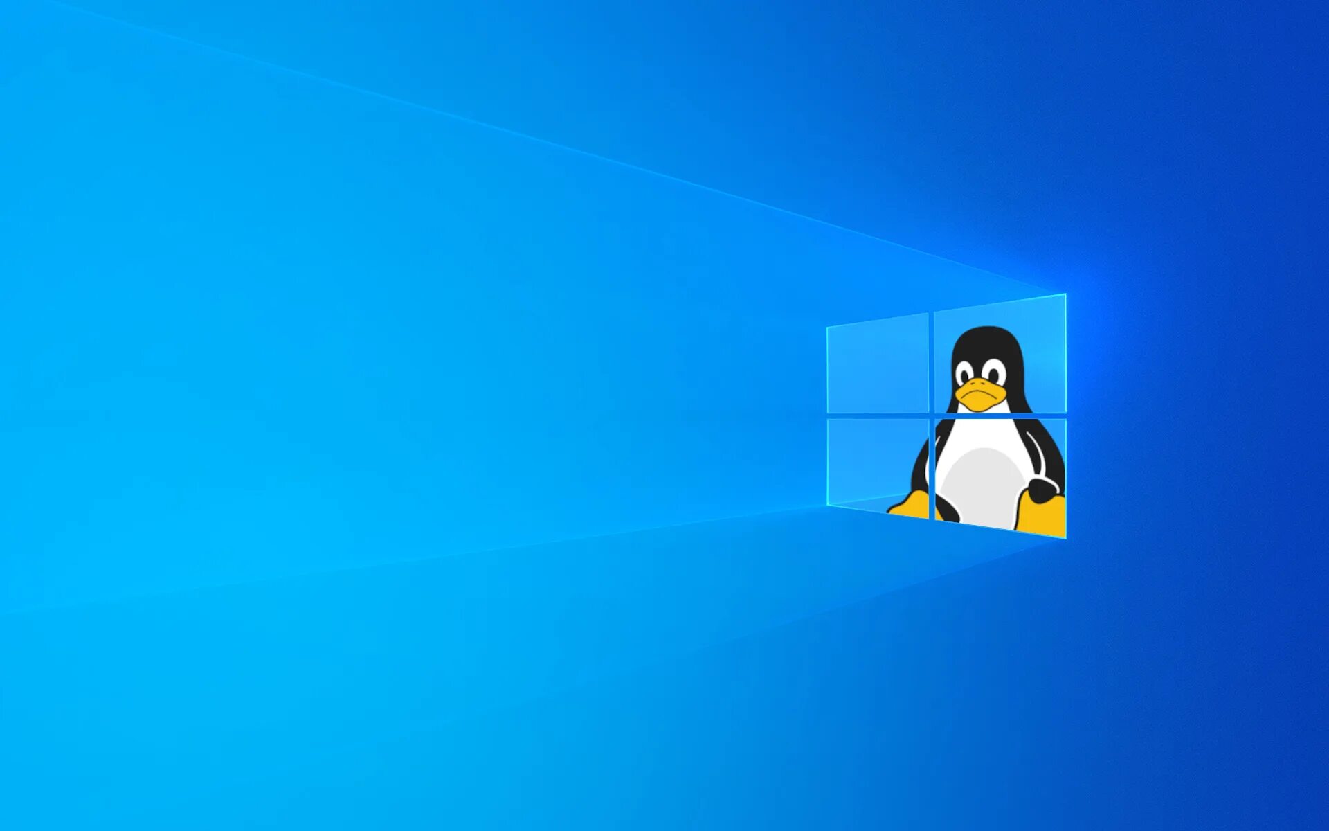Печать linux windows. Пингвин линукс vs windows. пингвины windows. пингвин линукс против виндовс. заставка linux.