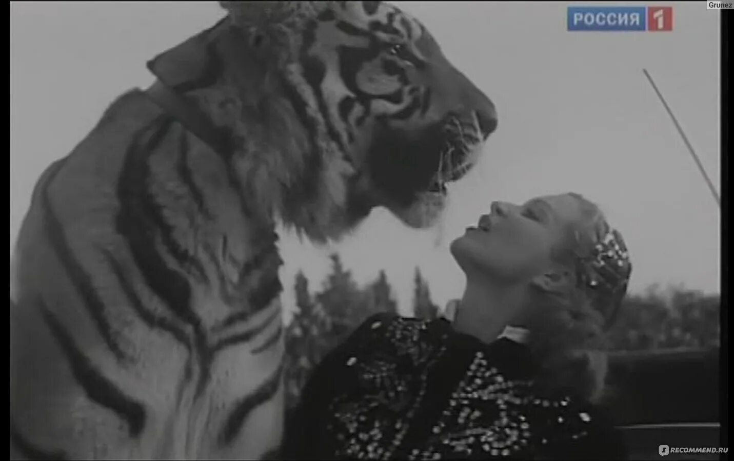 Моя царица королева тигрица. Маргарита назарова полосатый рейс. маргарита назарова 16 серия. королева тигров фильм 2010. маргарита назарова 4 серия.