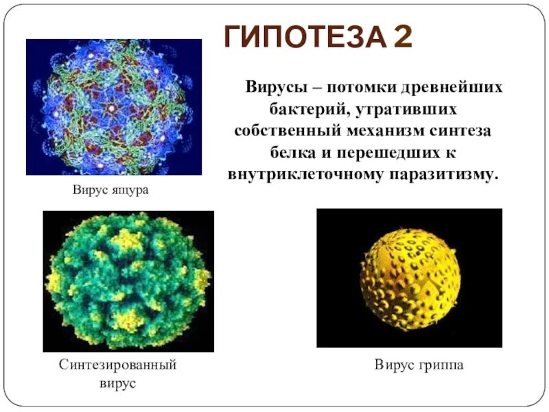 Вирусы неклеточные формы. Форма жизни вирусов. Неклеточные формы жизни вирусы и бактериофаги. Бактерии это неклеточная форма жизни.