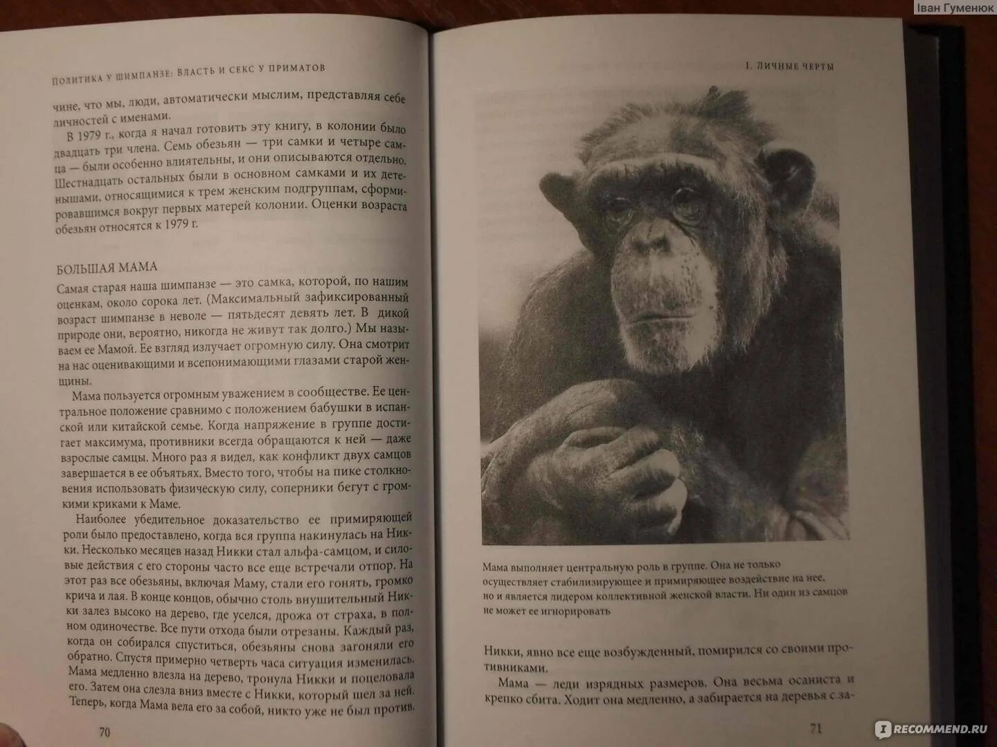 Франс де вааль книги. Политика у шимпанзе. Франс де Вааль книга. Франс де Вааль «политика у шимпанзе» обзор. Третий шимпанзе книга.