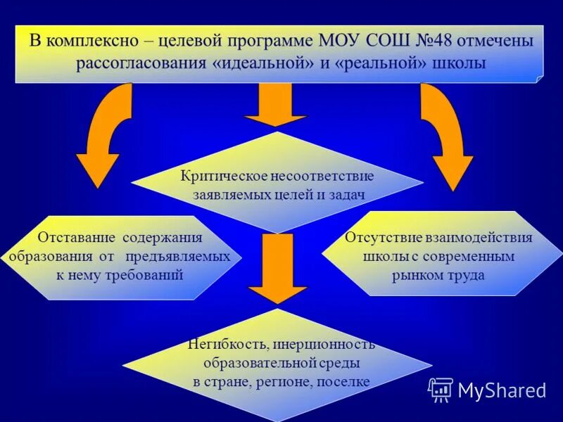 Отчет школы молодого