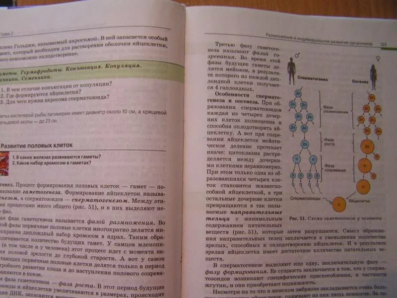 11 параграф биология 10